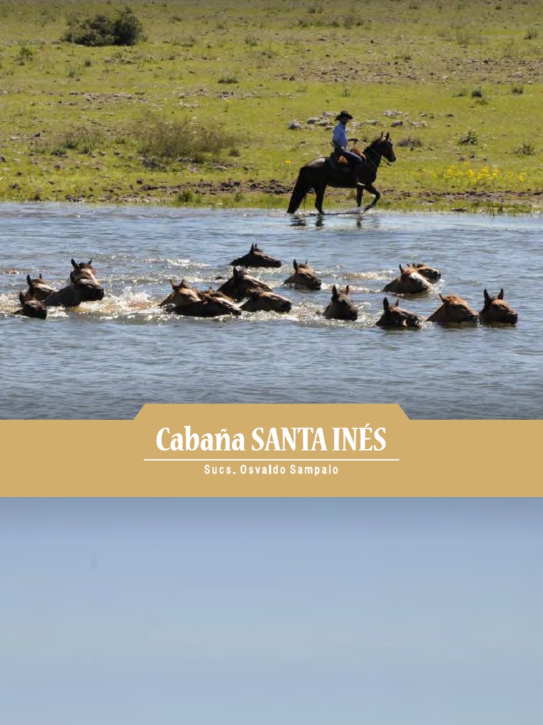 Santa Ines Catalogo | PDF