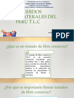 Acuerdos Bilaterales Del Peru T
