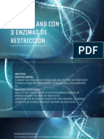 Enzimas Restriccion