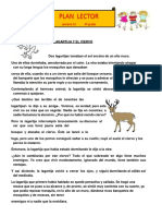 Plan Lector PDF