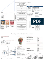 Traumatologia - Introdução, Anatomia Aplicada