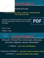 Apresentação de Osteologia 1 PDF