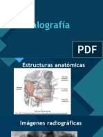 Sialografía y Dacriocistografia