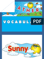Weather Picture Dictionaries - 8622