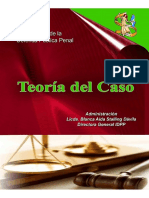 Teoria_del_Caso_Instituto_de_la_Defensa.pdf