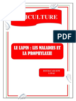 Maladies Des Lapins PDF