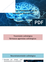 Agonistas y Antagonistas de Los Receptores Muscarínicos