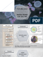Varicella-Zoster Virus
