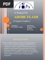 A Project On: Adobe Flash