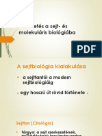 1 Előadás 07032019 PDF