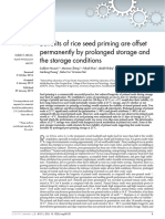 Benefits of Rice Seed Priming Are Offset Permanently by Prolonged Storage and The Storage Conditions