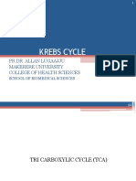 Krebs Cycle: PR DR Allan Lugaajju Makerere University College of Health Sciences