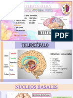Neuroanatomia - Telencefalo y Sistema Limbico