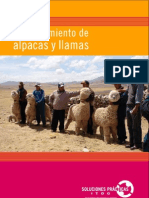 juzagamiento de llmas y alpacas