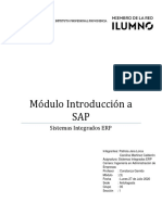 Módulo Introducción a SAP