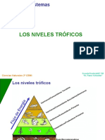 Niveles tróficos y cadenas alimentarias