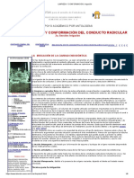 LIMPIEZA Y CONFORMACIÓN - Irrigación PDF