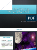 La Forma Como Definidora de Espacios PDF