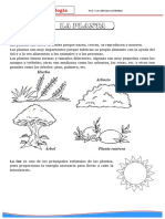 La Planta PDF