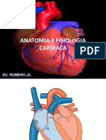 ANATOMIA Corazon