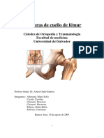 fracturas_de_cuello_de_femur.pdf