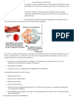 Descripcion de La Anemia PDF