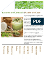 Flyer Semilla Verde