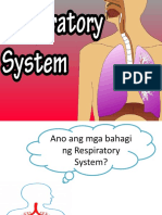 FINALLLLLRespiratory-System