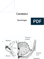 Cerebel PDF