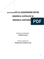 Biserica Ortodoxa Si Cea Catolica