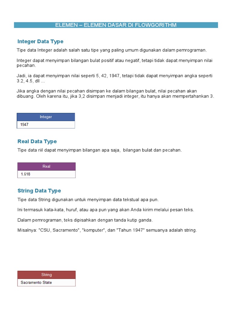 Tipe Data Dasar di Flowgorithm | PDF