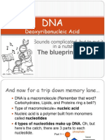 Deoxyribonucleic Acid: The Blueprint For You!