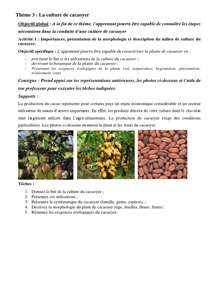 Fiche Technique : Culture du Cacao – Cacaoculture – Terre de culture