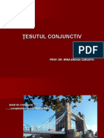 03-Tesut Conjunctiv 1 Med PDF