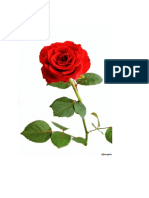 flower.docx