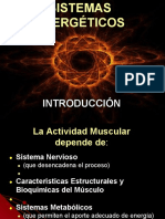 2-Metabolismo (1) 2014 PDF