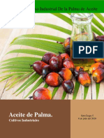 Etapas del Proceso  Ind. Palma de Aceite (6-7-2020)