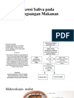 Sekresi Saliva Pada Perangsangan Makanan