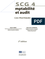 Comptabilite Et Audit - Robert Obert PDF