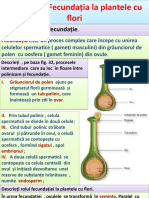 Fecundația La Plantele Cu Flori