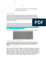 Tercer parcial-Resumen (1).docx