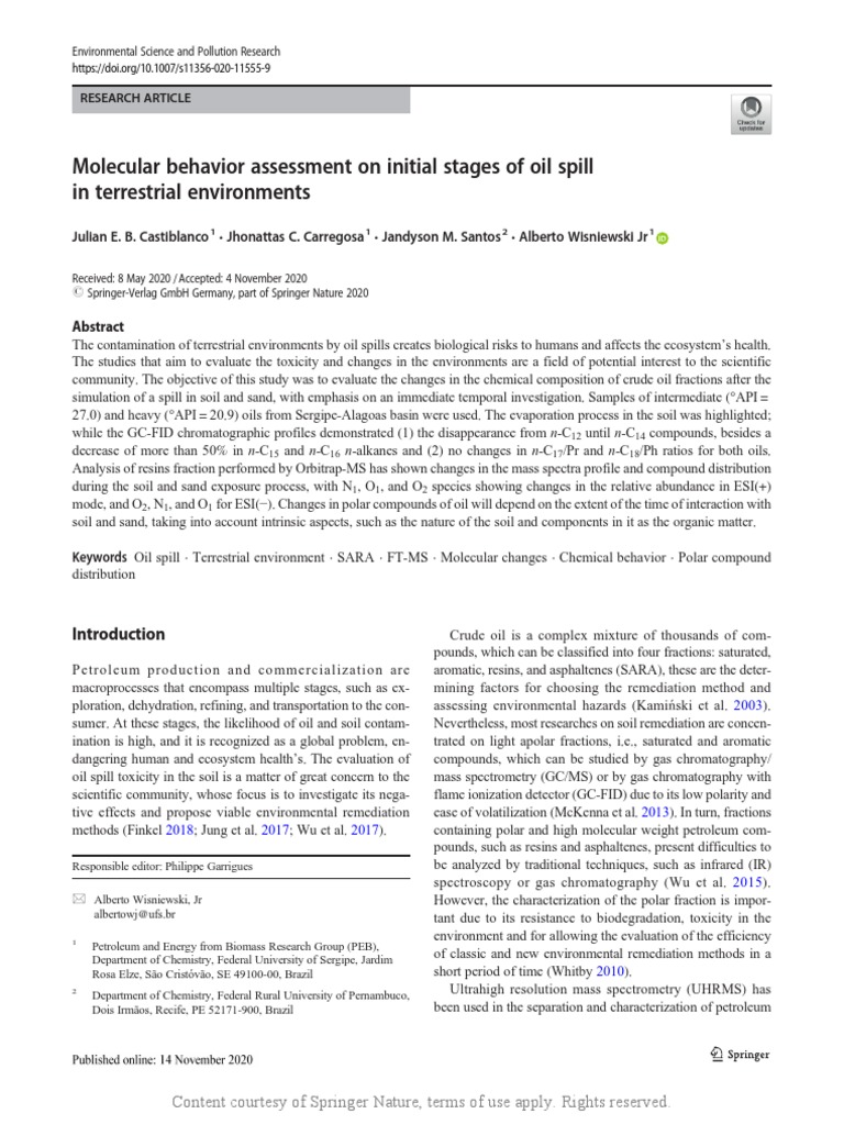 Molecular Behavior Assessment On Initial Stages of PDF | PDF | Gas ...