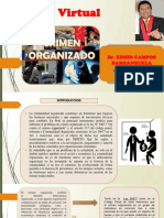 Crimen Organizado PDF