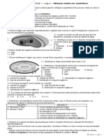 Processos fotossintético e quimiossintético