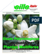 Abeille Itelv4 PDF