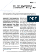 Amphetamines, New Psychoactive Drugs and The Monoamine Transporter Cycle
