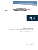 Proyecto Curricular Especialidad en Enfermeria en Cuidados Intensivos