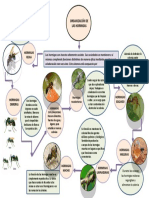Organigrama Hormigas