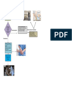 Diagrama de Humanizacion en Salud