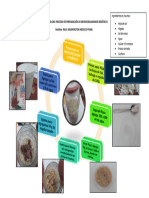 Flujograma Del Proceso de Preparación de Microorganismos Benéficos